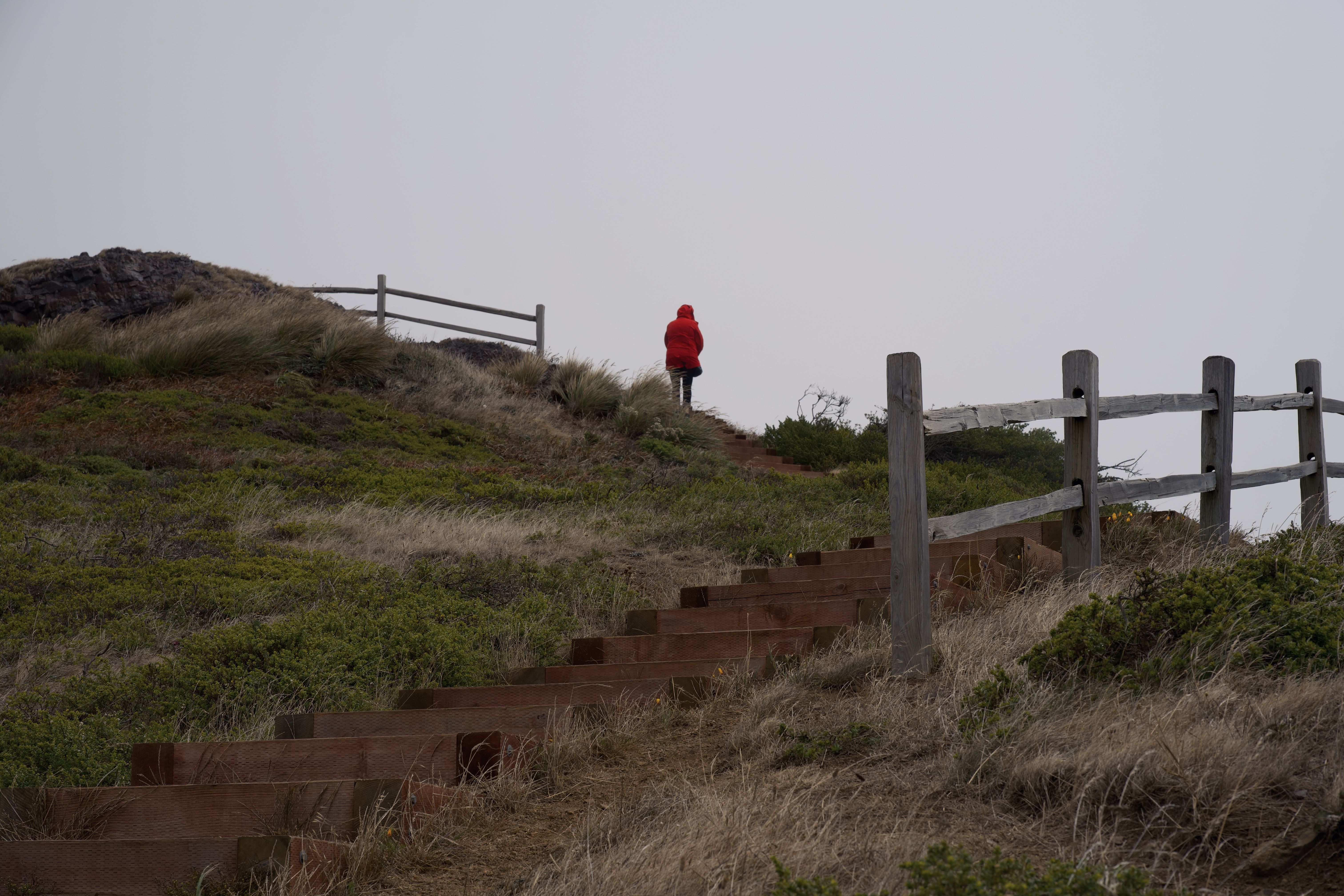 The Foggy SF Peak